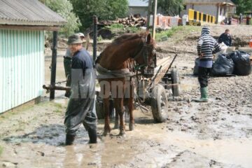 Nu se mai termină: Potop, durere, deznădejde
