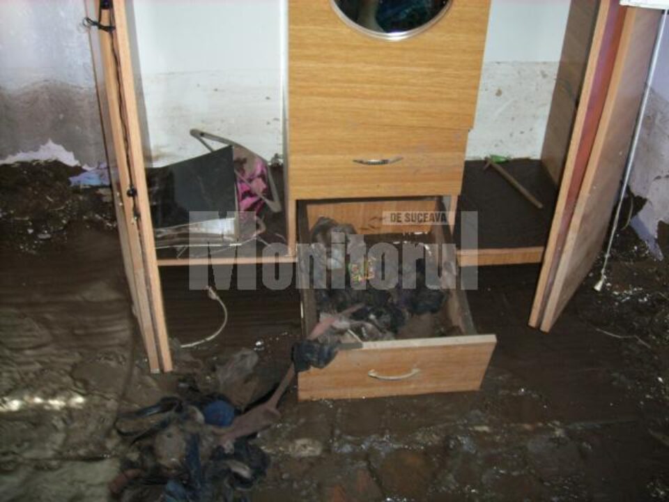 Dezastrul din casa plt. maj. Petrică Vizitiu