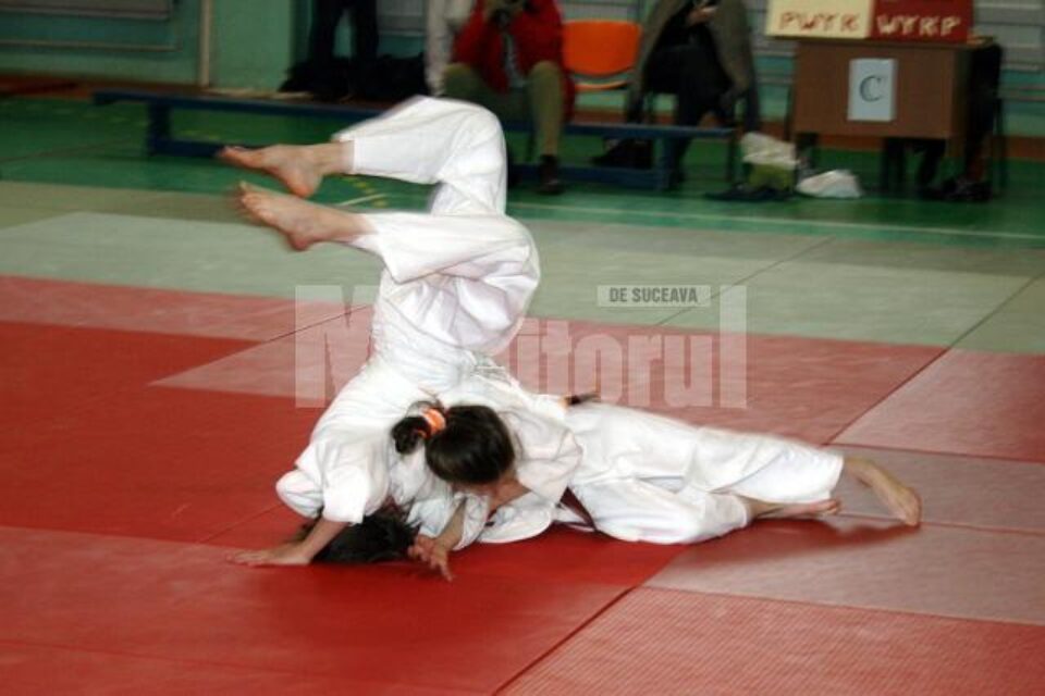 Performanțe: Sezon de excepție pentru judoul humorean