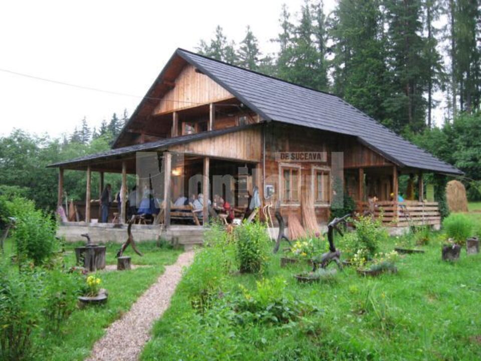 Tabăra meșterilor populari de la Păltinoasa