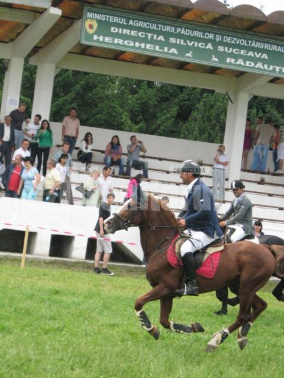 Cai de rasă din toată țara își vor demonstra calitățile în probele de sărituri la obstacole și galop în “Cupa Bucovinei – Romsilva”