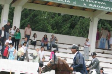 Cai de rasă din toată țara își vor demonstra calitățile în probele de sărituri la obstacole și galop în “Cupa Bucovinei – Romsilva”