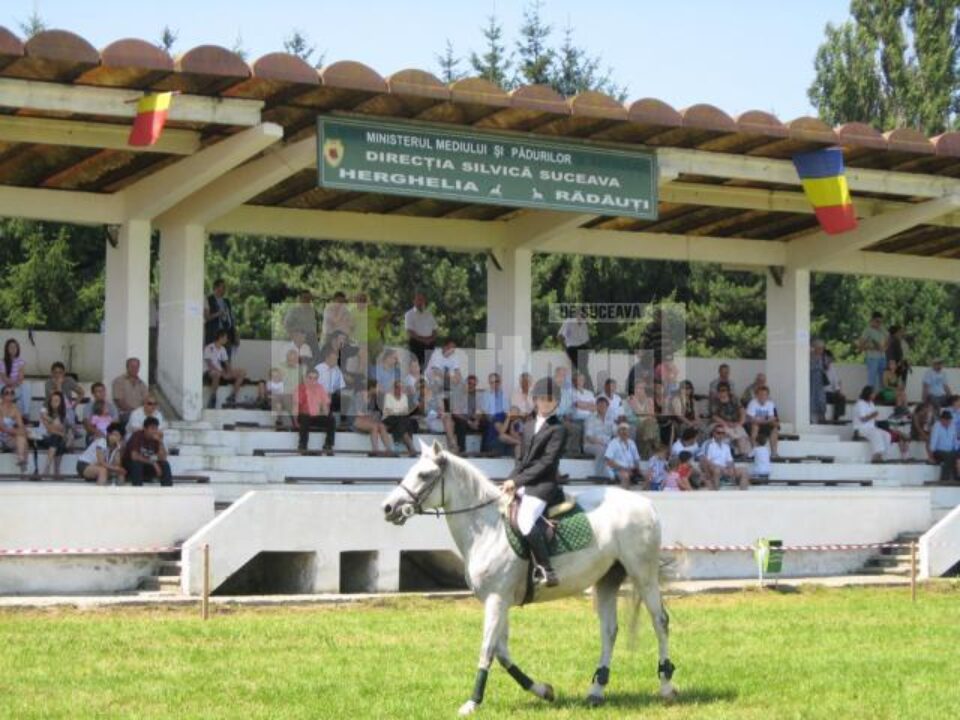 Cei mai valoroși cai de rasă din România au făcut spectacol la Herghelia Rădăuți