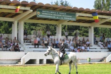 Cei mai valoroși cai de rasă din România au făcut spectacol la Herghelia Rădăuți