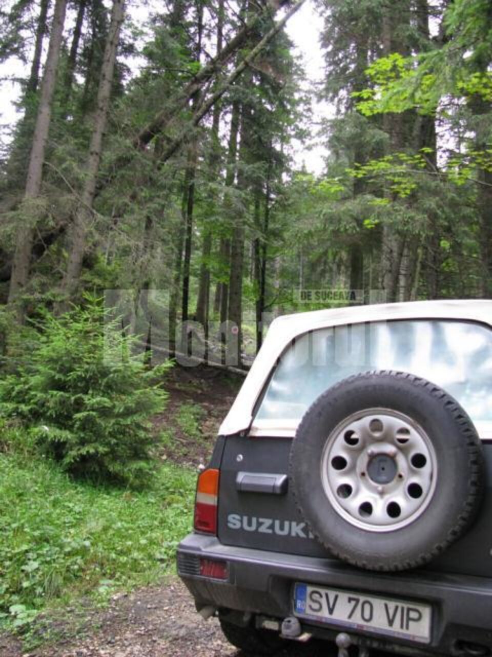 Turism: Pericole pe drumul spre Rarău