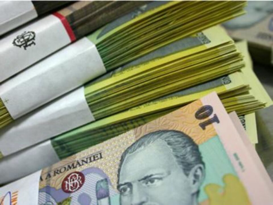 Cei doi suceveni au înșelat firma din Piatra Neamț cu 60.000 de lei