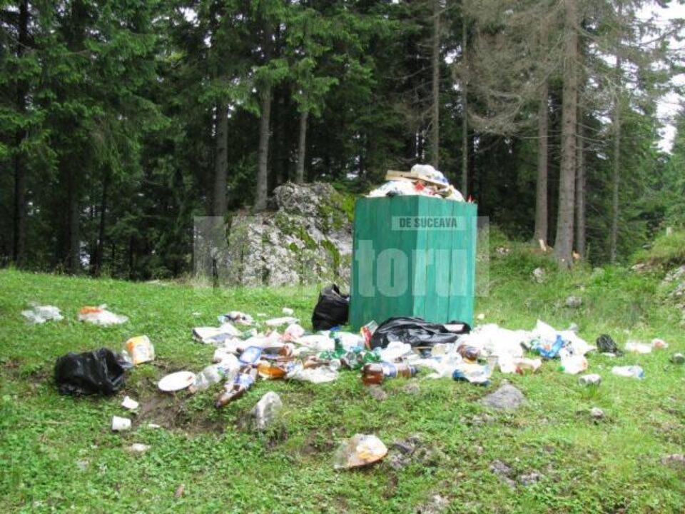 Pe Rarău există pubele pentru gunoi, dar nimeni nu ridică deșeurile adunate acolo