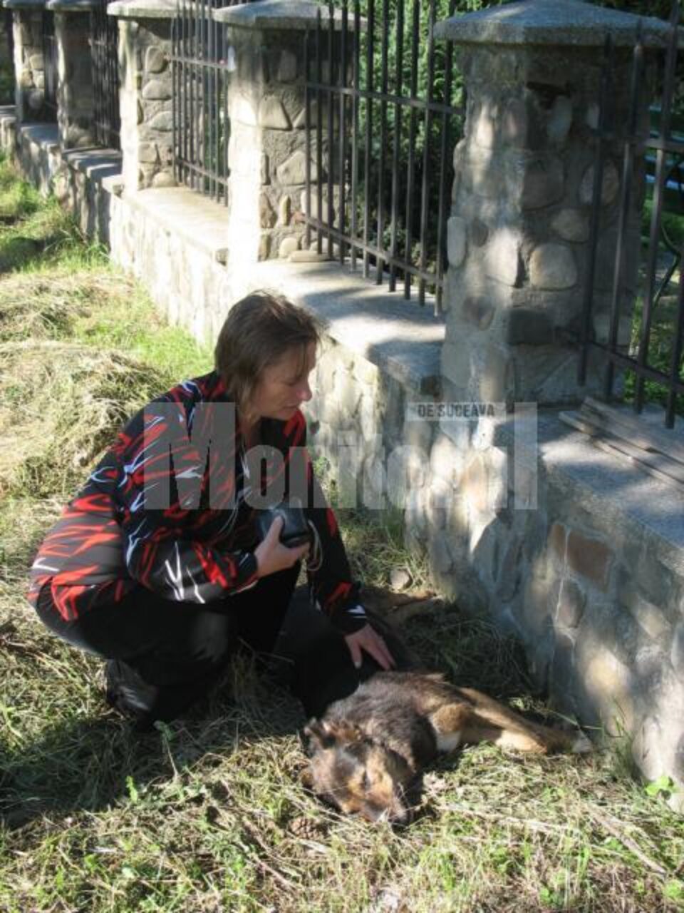 Sorina Corduneanu „Pe câinii ăștia îi cunosc. Nu pot să îi arunc. O să-i iau și o să-i îngrop” Sorina Corduneanu „Pe câinii ăștia îi cunosc. Nu pot să îi arunc. O să-i iau și o să-i îngrop”