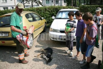 Câinii de pe stradă au fost executați în fața copiilor