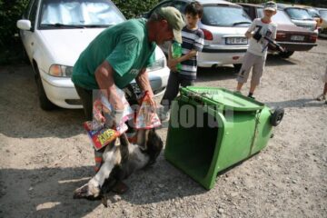 Aberant: În Suceava, otrava se procură mai ușor ca algocalminul