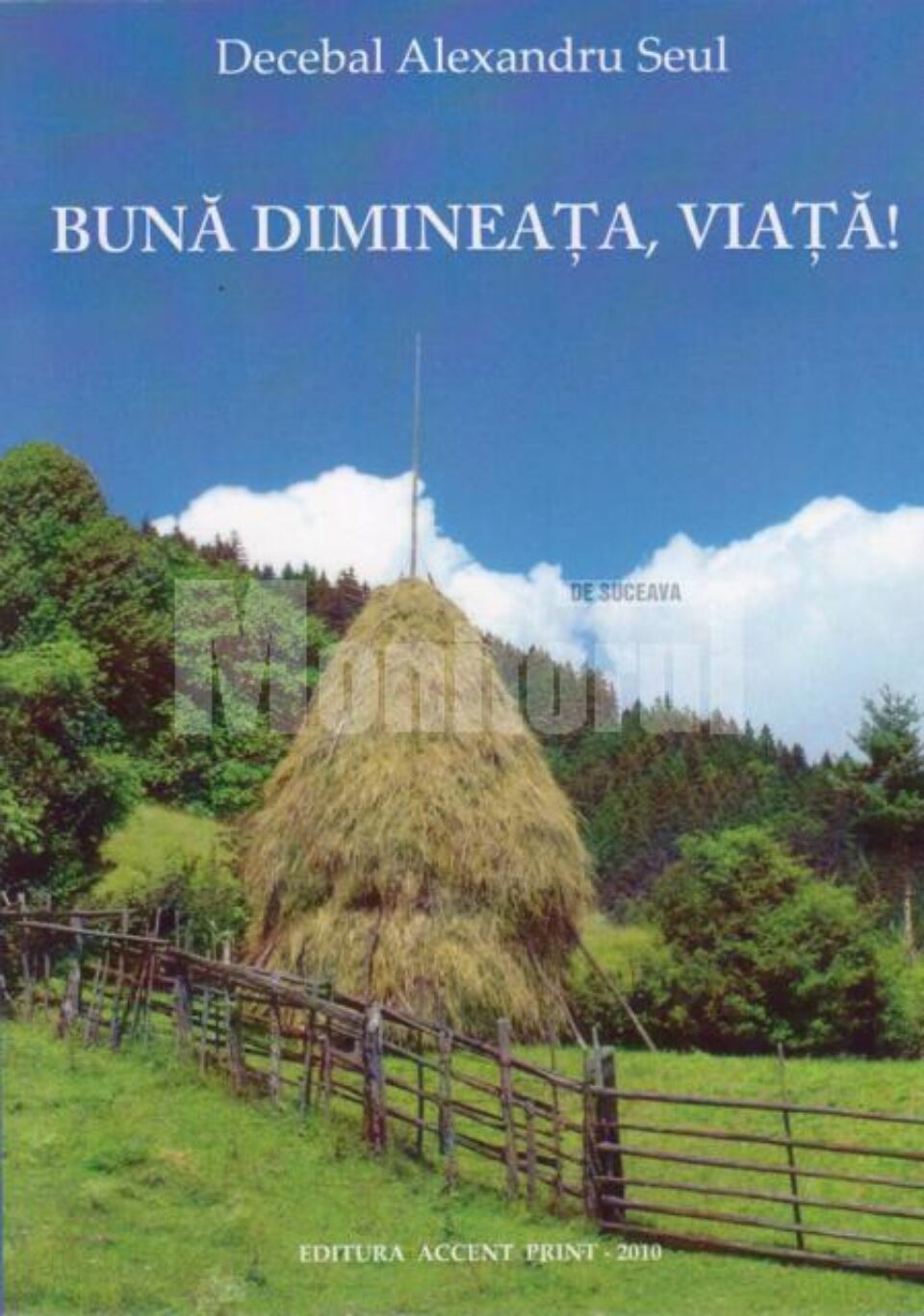 Decebal Alexandru Seul: „Bună dimineața, viață!”