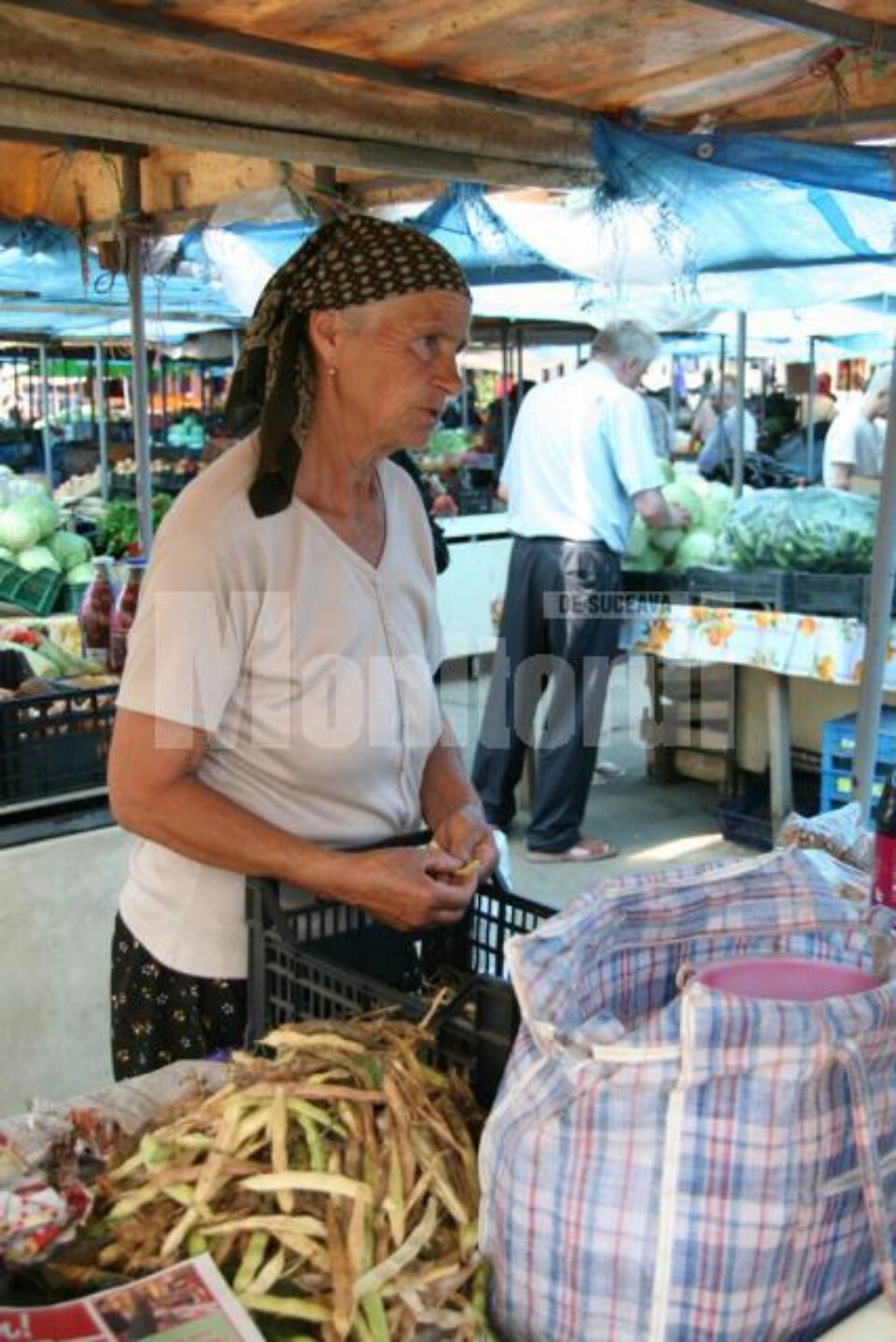 Viorica Dănilă, la cei 67 de ani, vine de câteva ori pe săptămână de la Salcea cu ce are prin grădină