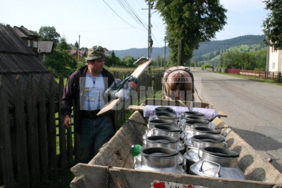 Căruța lăptarului