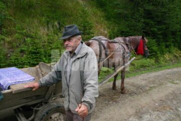 La cei aproape 80 de ani, Petru Moroșan crește 20 de vaci