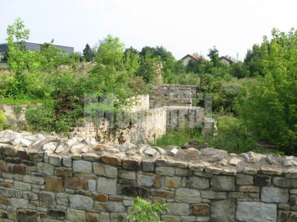 Curtea Domnească din Suceava, invadată de vegetație