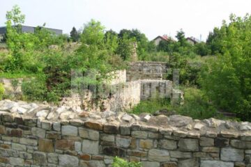 Curtea Domnească din Suceava, invadată de vegetație