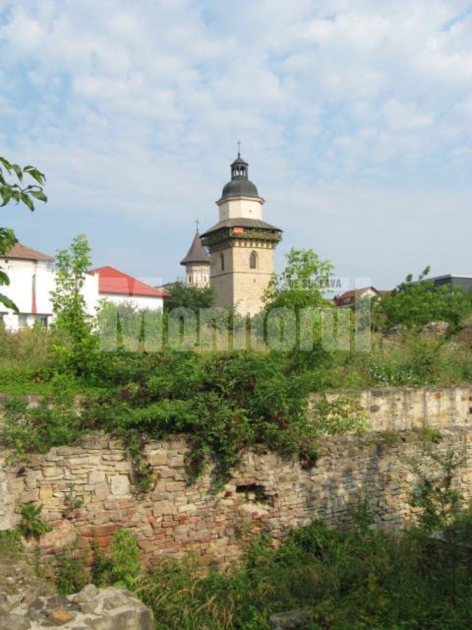Ruinele Curții Domnești din Suceava