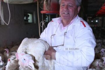 Aurel Vieru, în ferma în care crește mii de curci de rasă europeană