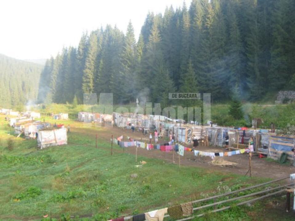 Cu cățel și purcel: Zeci de romi și-au făcut cartier la marginea DN 18, în Cârlibaba