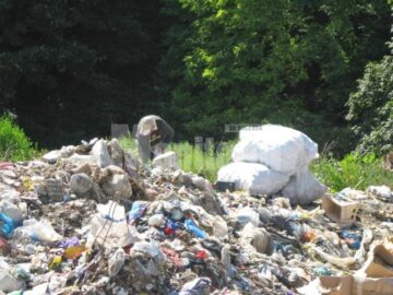Scormonitul în gunoaie, o meserie care nu a dispărut încă