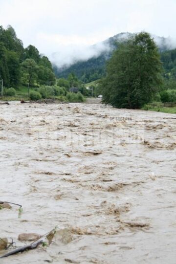Apele învolburate ale râului Suceava, iulie 2010