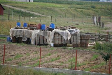 De șase ani: Sucevenii din opt orașe foste comune trăiesc în continuare la țară