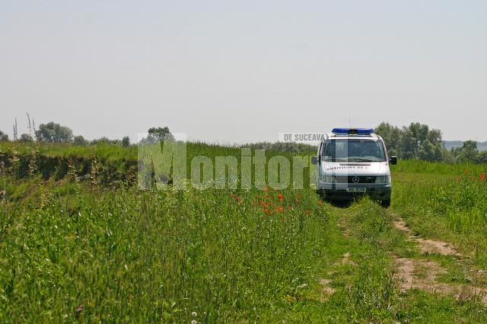 Poliția de Frontieră: Dosare penale pentru patru șoferi „britanici” suceveni