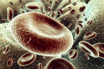 Succes: Celule hepatice au fost obținute din celule sușă provenind din piele