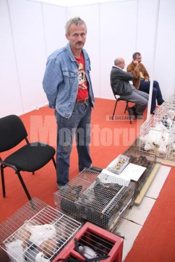 Nelu Bucataru creste prepelite