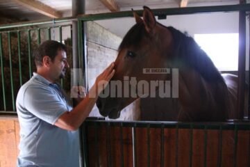 Puiu Nichiforiuc: „Sunt foarte mulți care vor să se urce pe cal, doar să-și facă o fotografie”
