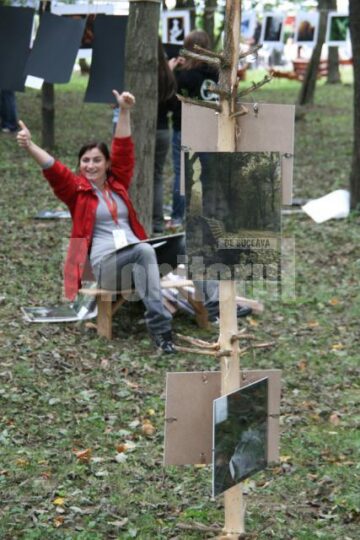 Foto – picnic amenajat în crângul Arinișului