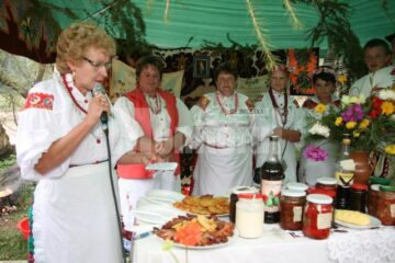 Festivalul Barabula de aur