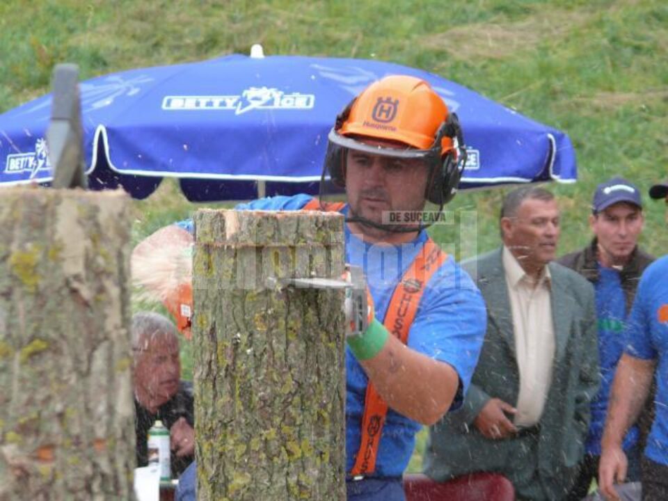 Tăiatul lemnelor pe verticală