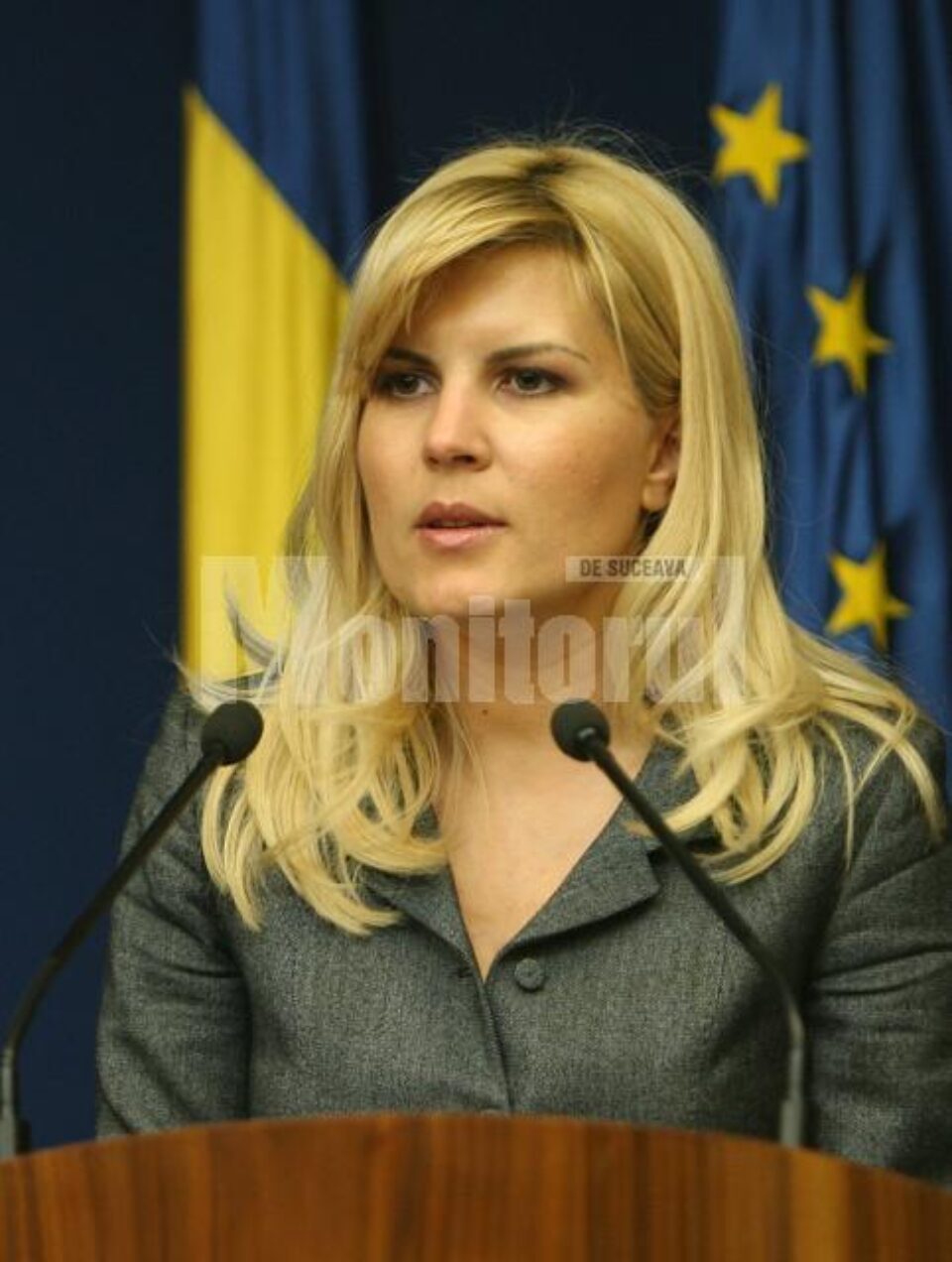 Elena Udrea: „Dorim foarte mult să impulsionăm procesul de reabilitare termică”