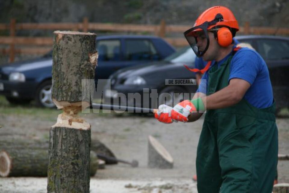 La Putna: Festivalul „Țara Fagilor, în Moldova lui Ștefan cel Mare”, ediția a doua