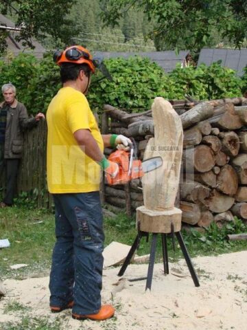 Sculptura cu drujba