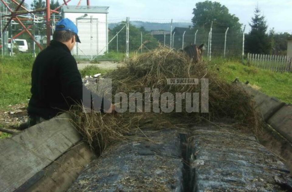 12.000 de pachete de țigări de contrabandă, ascunse sub lemnele dintr-o căruță