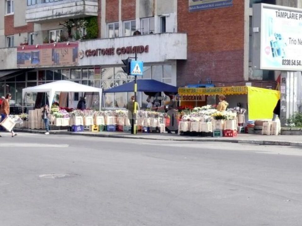 Florarii si prima zi de scoala