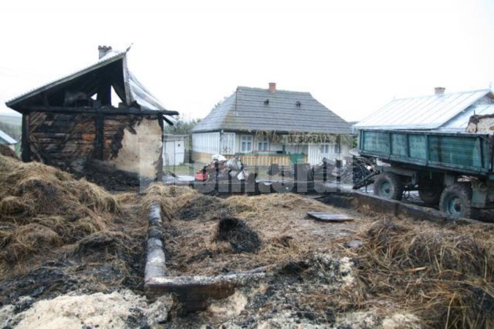 Dezastrul lăsat în urmă de fiul răzbunător