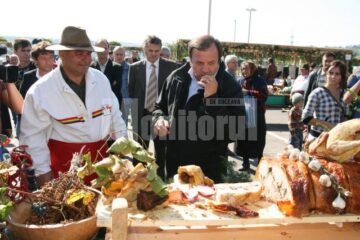 Gusta din Bucovina