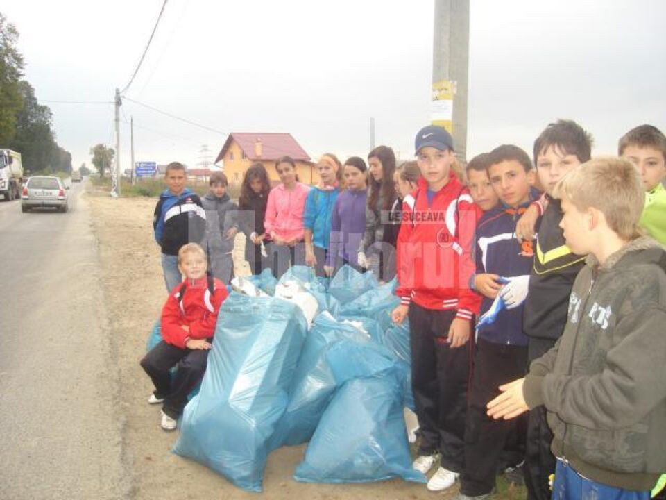 Colțul cititorului: ,,Let`s Do It, Romania!’’ - Un pas spre un cartier mai curat!