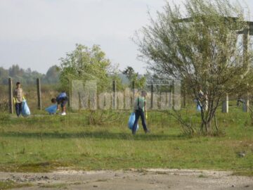 Galanesti