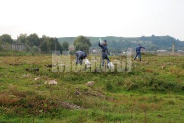 Ecologizare: 150 de saci cu deșeuri, strânși de jandarmi
