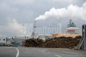 Investiții: Egger investește 150 de milioane de euro într-o linie de producție OSB în fabrica de la Rădăuți