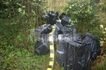Șase mii de pachete de țigări, în 12 colete voluminoase, ambalate în folie de plastic