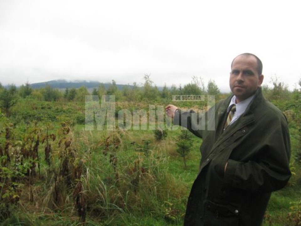 Cezar Tulbure arătând spre locul în care acu 20 de ani era una dintre cele mai frumoase păduri de brad