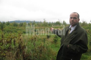 Cezar Tulbure arătând spre locul în care acu 20 de ani era una dintre cele mai frumoase păduri de brad