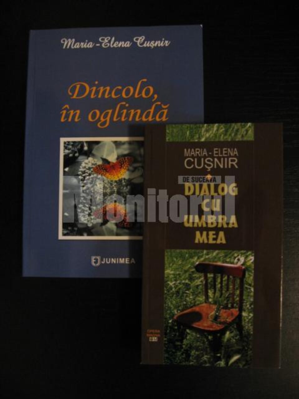 Două formule de recapitulare nostalgică a vieții, în versuri și în proză