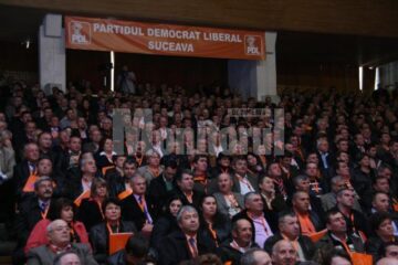 Alegeri: Gheorghe Flutur, reconfirmat la șefia Organizației Județene a PD-L