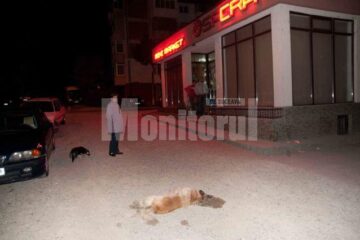 Câine otrăvit la intrarea în cartierul Obcini